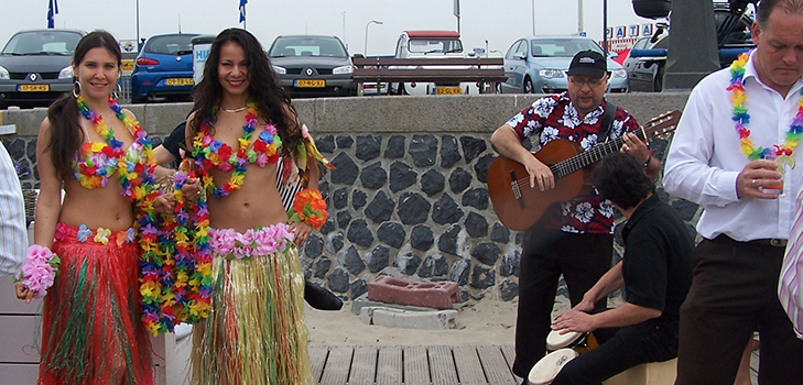 hawai muzikanten